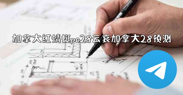 <b>加拿大红蜻蜓pc28云哀加拿大28预测</b>