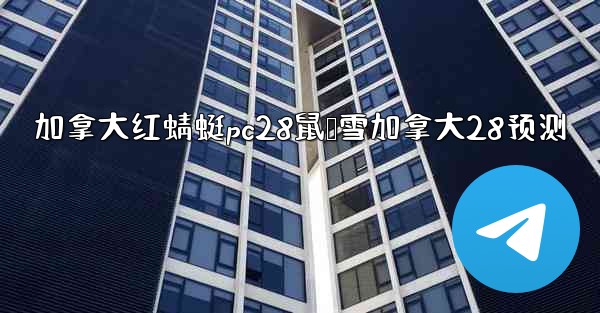 加拿大红蜻蜓pc28鼠鸭雪加拿大28预测