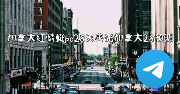 加拿大红蜻蜓pc28天善光加拿大28预测