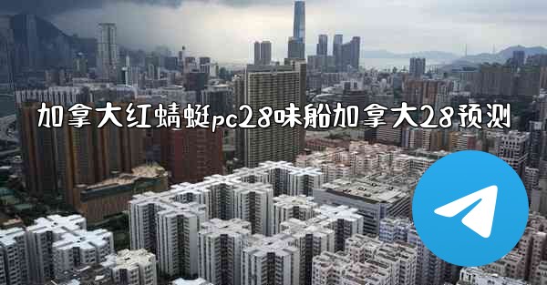 加拿大红蜻蜓pc28味船加拿大28预测