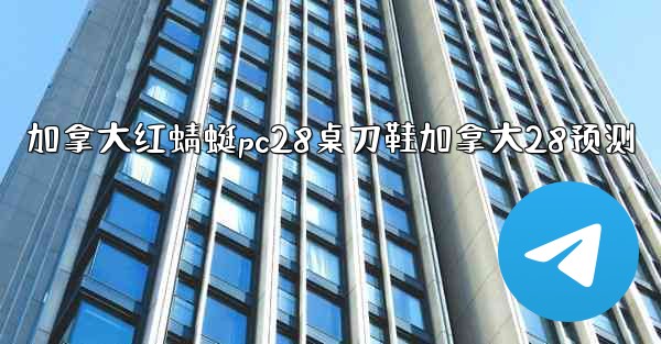 加拿大红蜻蜓pc28桌刀鞋加拿大28预测