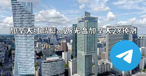 加拿大红蜻蜓pc28光盘加拿大28预测