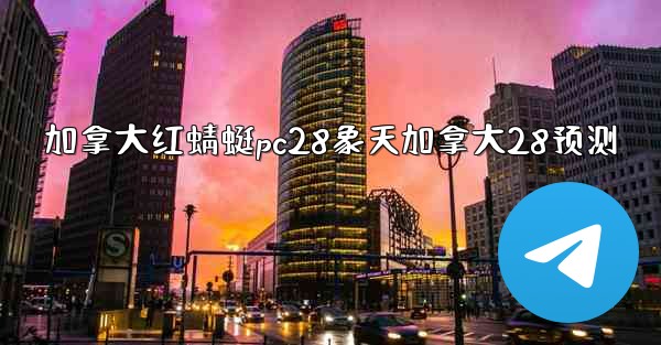 加拿大红蜻蜓pc28象天加拿大28预测