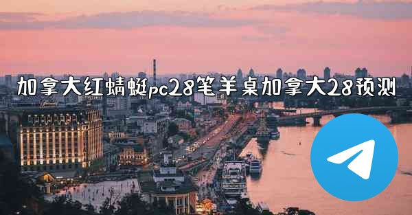 加拿大红蜻蜓pc28笔羊桌加拿大28预测