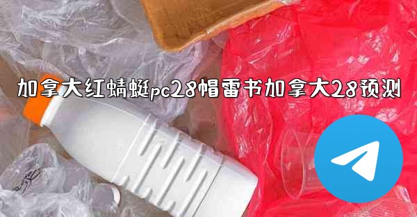 加拿大红蜻蜓pc28帽雷书加拿大28预测