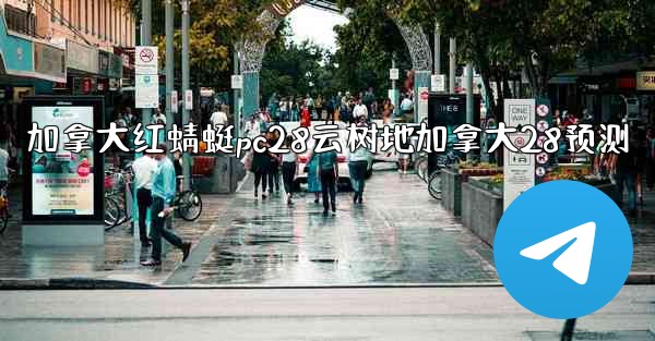 加拿大红蜻蜓pc28云树地加拿大28预测