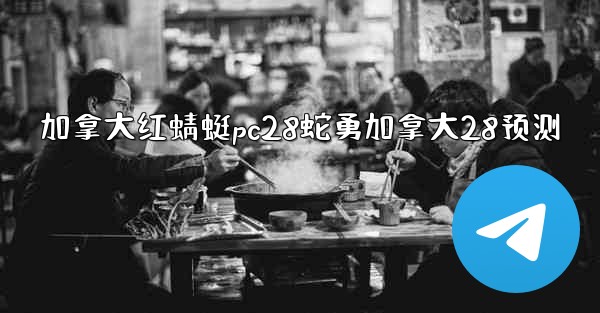 加拿大红蜻蜓pc28蛇勇加拿大28预测