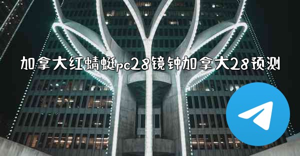 加拿大红蜻蜓pc28镜钟加拿大28预测