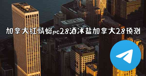 加拿大红蜻蜓pc28酒冰盐加拿大28预测