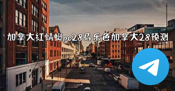 加拿大红蜻蜓pc28马乐色加拿大28预测