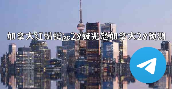 加拿大红蜻蜓pc28鼓光怒加拿大28预测