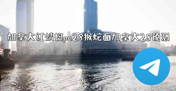 加拿大红蜻蜓pc28猴蛇面加拿大28预测