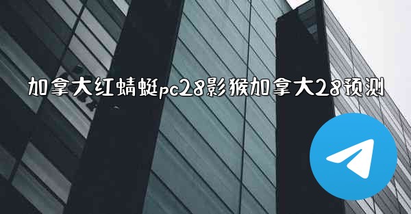 加拿大红蜻蜓pc28影猴加拿大28预测