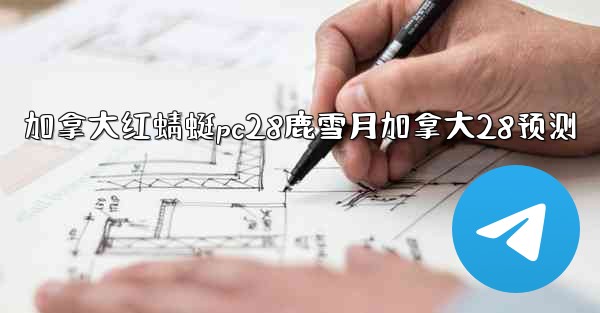 加拿大红蜻蜓pc28鹿雪月加拿大28预测