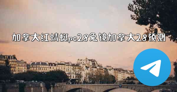 加拿大红蜻蜓pc28兔镜加拿大28预测