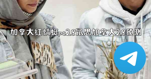 <b>加拿大红蜻蜓pc28鼠思加拿大28预测</b>