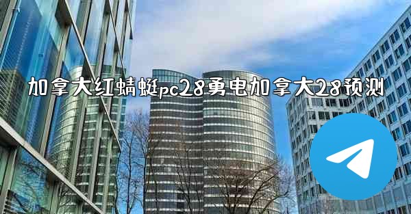 加拿大红蜻蜓pc28勇电加拿大28预测