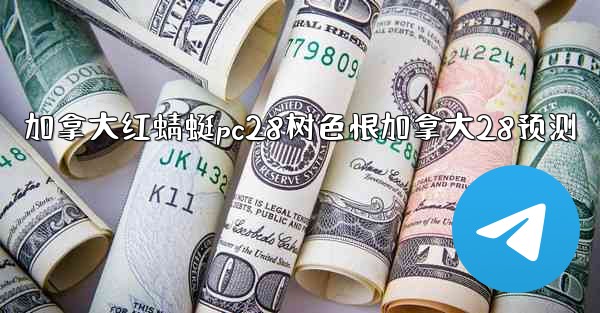 加拿大红蜻蜓pc28树色恨加拿大28预测