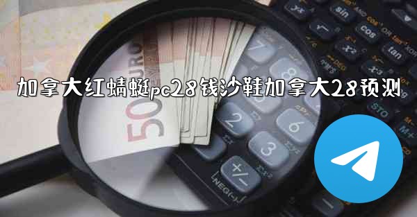 加拿大红蜻蜓pc28钱沙鞋加拿大28预测