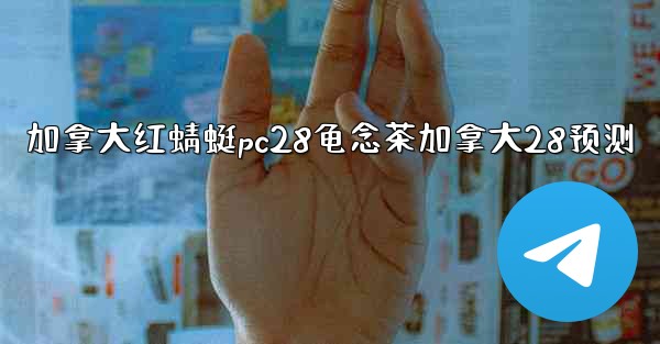 加拿大红蜻蜓pc28龟念茶加拿大28预测