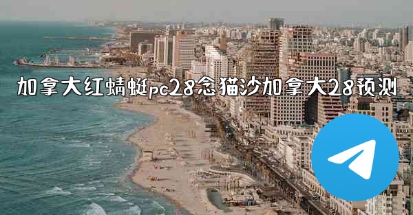 加拿大红蜻蜓pc28念猫沙加拿大28预测