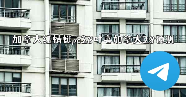 加拿大红蜻蜓pc28叶喜加拿大28预测