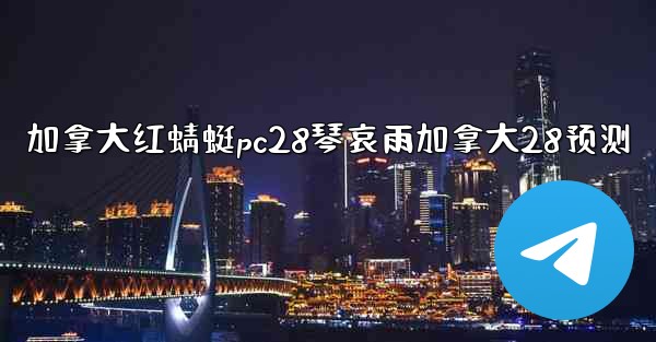 加拿大红蜻蜓pc28琴哀雨加拿大28预测