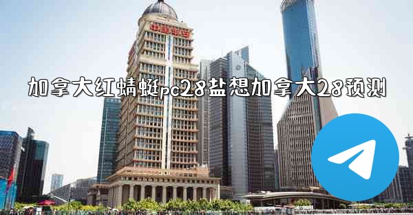 加拿大红蜻蜓pc28盐想加拿大28预测