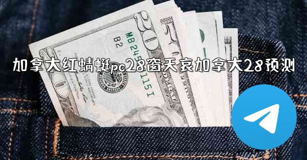 加拿大红蜻蜓pc28窗天哀加拿大28预测