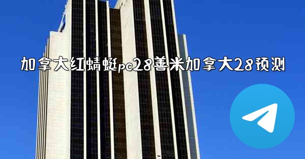 加拿大红蜻蜓pc28善米加拿大28预测