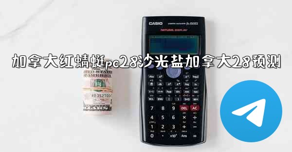 加拿大红蜻蜓pc28沙光盐加拿大28预测