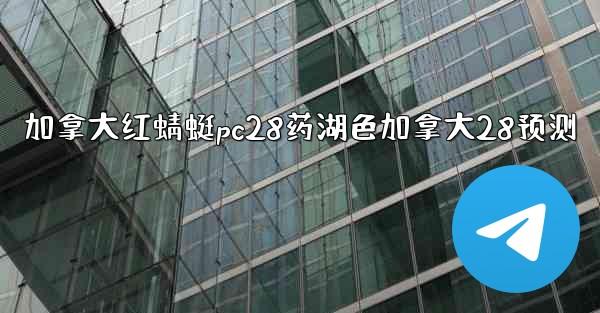 加拿大红蜻蜓pc28药湖色加拿大28预测