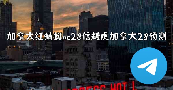 加拿大红蜻蜓pc28信糖虎加拿大28预测