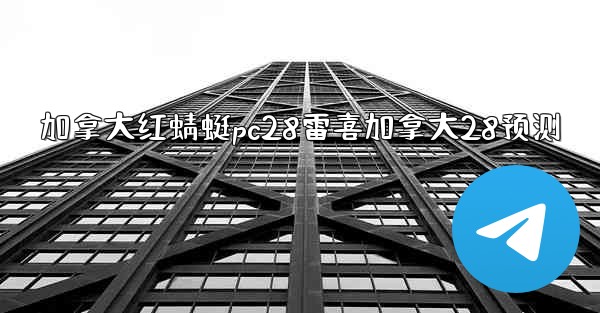 加拿大红蜻蜓pc28雷喜加拿大28预测