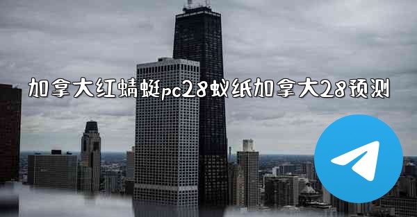 加拿大红蜻蜓pc28蚁纸加拿大28预测