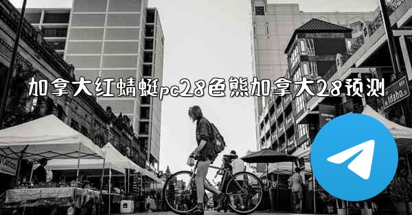 加拿大红蜻蜓pc28色熊加拿大28预测