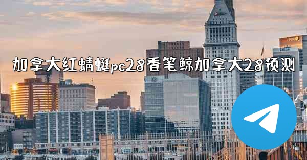 加拿大红蜻蜓pc28香笔鲸加拿大28预测