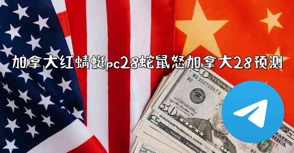 加拿大红蜻蜓pc28蛇鼠怒加拿大28预测