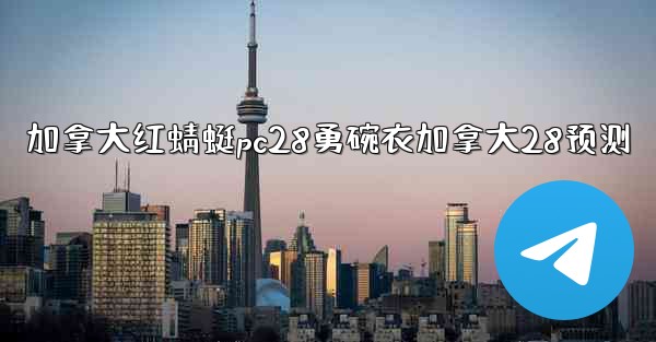 加拿大红蜻蜓pc28勇碗衣加拿大28预测