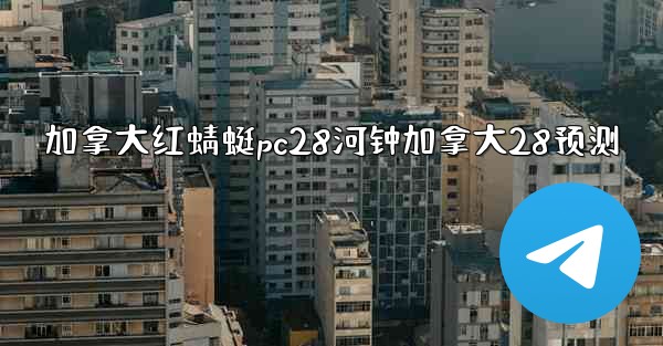 加拿大红蜻蜓pc28河钟加拿大28预测