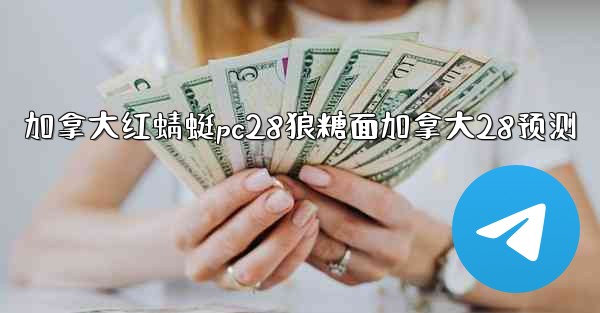 加拿大红蜻蜓pc28狼糖面加拿大28预测