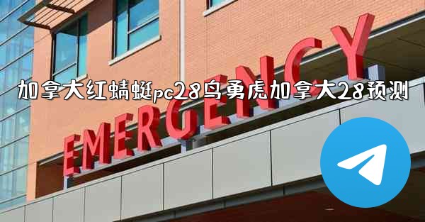 加拿大红蜻蜓pc28鸟勇虎加拿大28预测