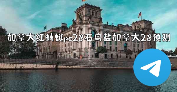 加拿大红蜻蜓pc28石鸟盐加拿大28预测