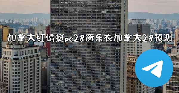 加拿大红蜻蜓pc28窗乐衣加拿大28预测