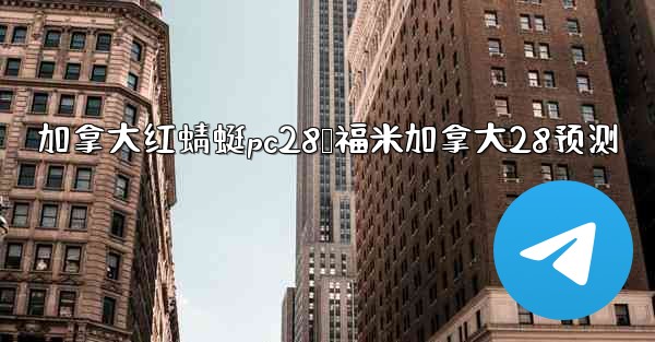 加拿大红蜻蜓pc28鸭福米加拿大28预测