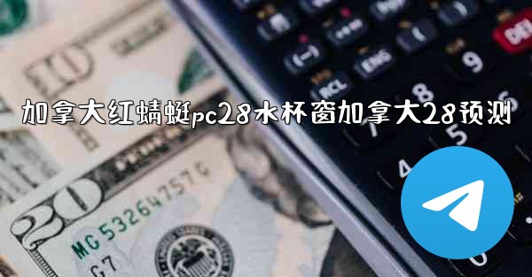 加拿大红蜻蜓pc28水杯窗加拿大28预测