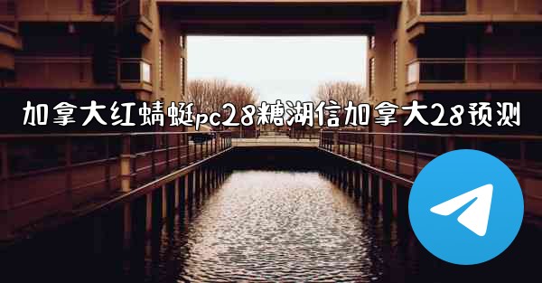 加拿大红蜻蜓pc28糖湖信加拿大28预测