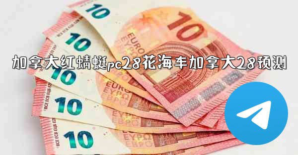 加拿大红蜻蜓pc28花海车加拿大28预测