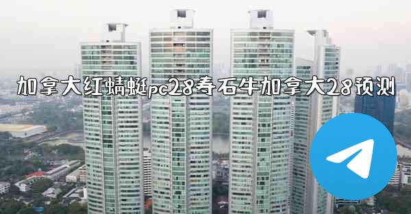 加拿大红蜻蜓pc28寿石牛加拿大28预测