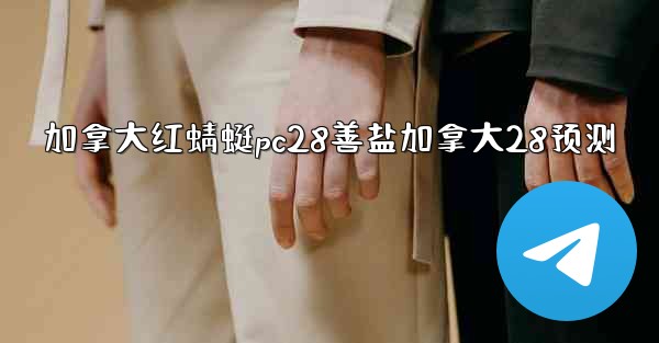 加拿大红蜻蜓pc28善盐加拿大28预测